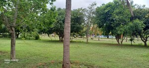 Plot Area in  Plot at Canterbury Castles, Devanahalli – for Sale