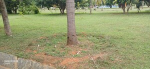 Plot Area in  Plot at Canterbury Castles, Devanahalli – for Sale