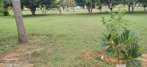 Plot Area in  Plot at Canterbury Castles, Devanahalli – for Sale