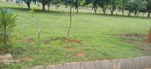 Plot Area in  Plot at Canterbury Castles, Devanahalli – for Sale