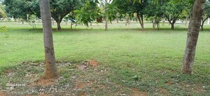  Plot For Sale in Canterbury Castles, Devanahalli