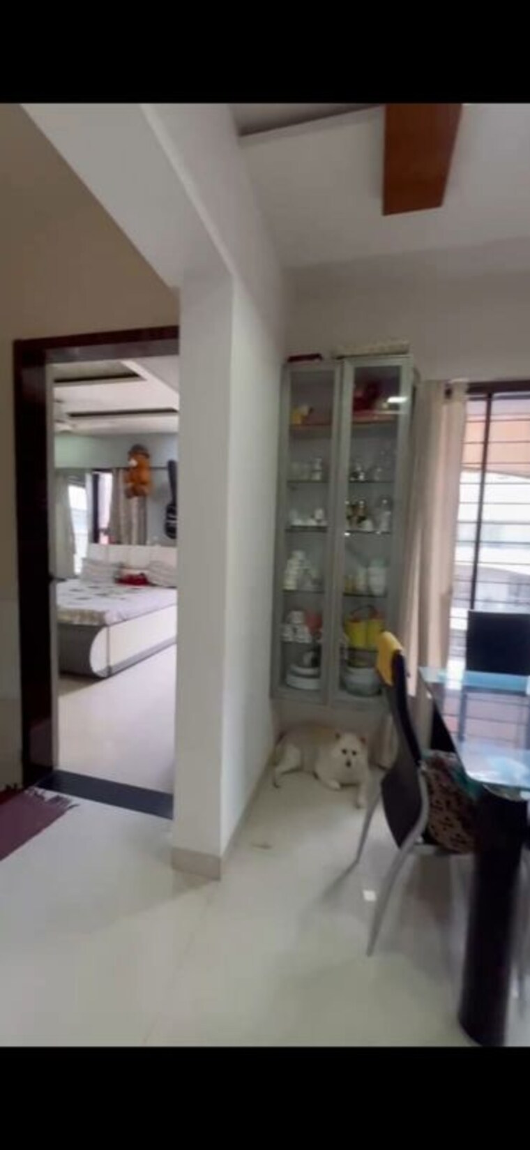 Living Room, lulla nagar 4 Bedroom 2497 Sq.Ft. Apartment In Lulla Nagar Pune 10574319