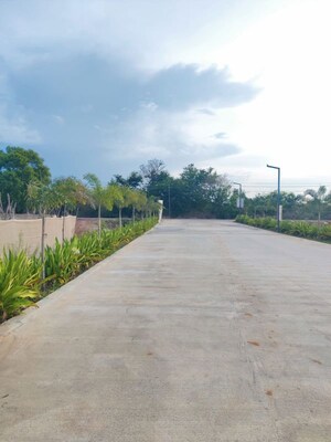 Plot Area in  Plot at Vemagal – for Sale