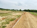 1365 Sq.Ft. Plot in Harhua