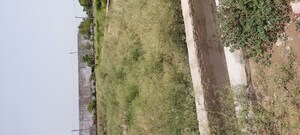 Plot Area in  Plot at Dhanauli – for Sale