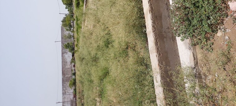 undefined, dhanauli  81 Sq.Yd. Plot In Dhanauli Agra 10573907