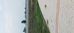 108 Sq.Yd. Plot in Sainik Nagar
