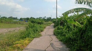 Plot Area in  Plot at Baruipur – for Sale