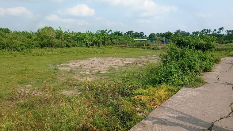 undefined, baruipur  7210 Sq.Ft. Plot In Baruipur Kolkata 10574716