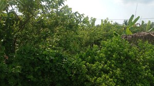  Plot – Garden View at Baruipur - for Sale