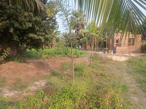  Plot – Garden View at Shibpur - for Sale