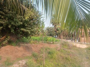 Plot Area in  Plot at Shibpur – for Sale