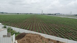 Plot Area in  Plot at Shadnagar – for Sale