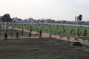  Plot For Sale in Shadnagar