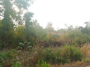Plot Area in  Plot at Uran – for Sale
