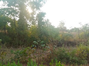 Plot Area in  Plot at Uran – for Sale