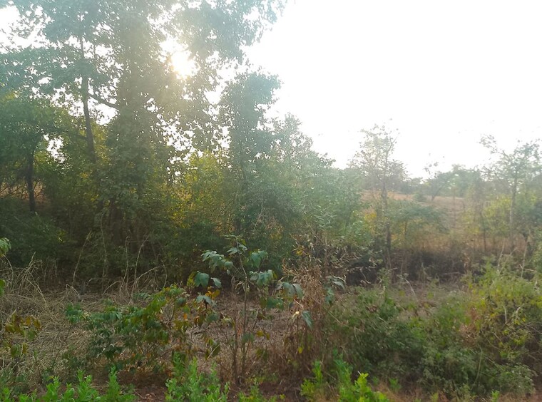 undefined, uran  1089 Sq.Ft. Plot In Uran Navi Mumbai 10574854