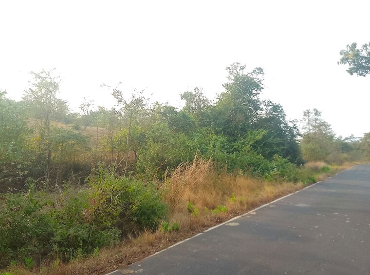 undefined, uran  1089 Sq.Ft. Plot In Uran Navi Mumbai 10574854