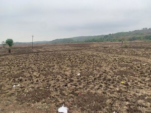 Plot Area in  Plot at Vindhane – for Sale