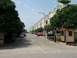 3.5 BHK Builder Floor For Rent in BPTP Elite Floors, Sector 83