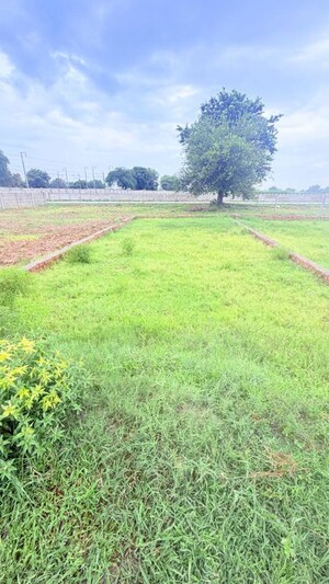 Plot Area in  Plot at Chhatikara – for Sale