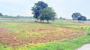Plot Area in  Plot at Chhatikara – for Sale