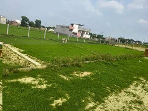  Plot For Sale in Babatpur
