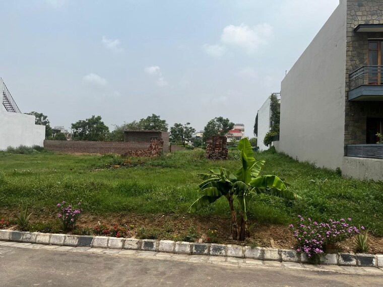 undefined, mullanpur  1000 Sq.Yd. Plot In Mullanpur Mohali 10576091