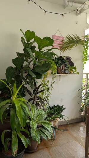 Balcony in 3 BHK Apartment at SVC Tree Walk, Kondapur – for Rent