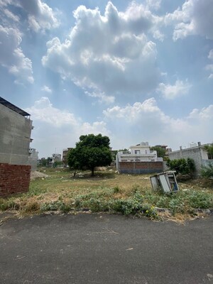  Plot – Exterior View View at Mullanpur - for Sale