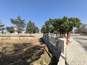 Plot Area in  Plot at Seema Sadan Farukh Nagar, Farukh Nagar Sector 1 – for Sale