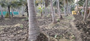 Plot Area in 4 BHK Villa at Pooja First Leaf, Gachibowli – for Rent