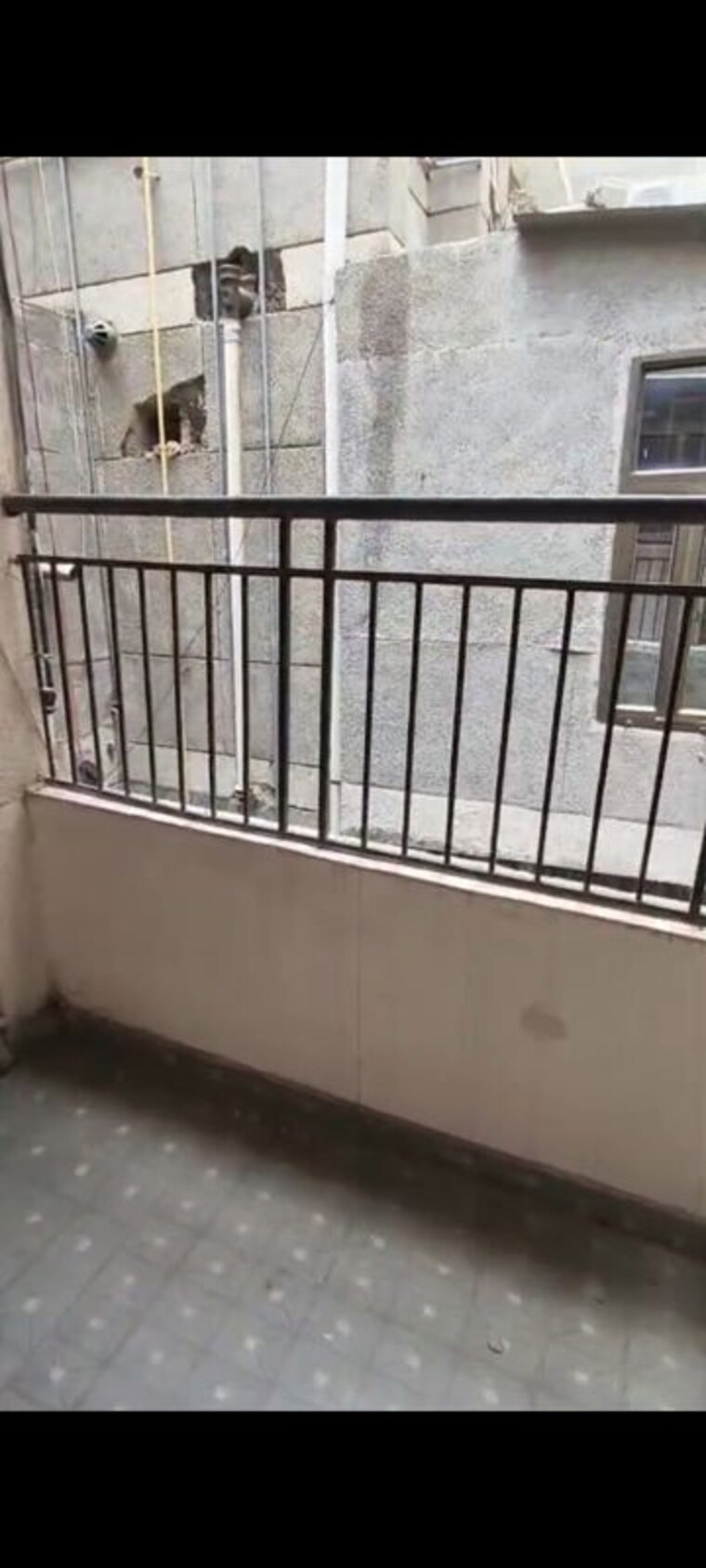 Balcony, vasant kunj 3 Bedroom 1800 Sq.Ft. Apartment In Vasant Kunj Delhi 10576916