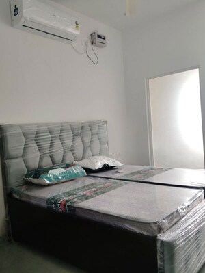 Bedroom in 2 BHK Apartment at Sam Palm Olympia Phase II, Sector 16c Greater Noida – for Rent