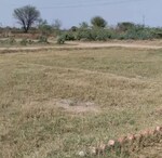 100 Sq.Yd. Plot in Sohna Sector 25