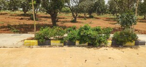Plot Area in  Plot at Burgula Village – for Sale