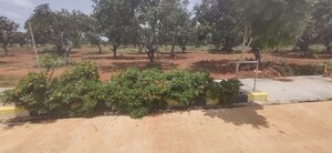 Plot Area in  Plot at Burgula Village – for Sale