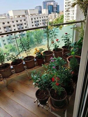 Balcony in 3 BHK Apartment at Nandan Prospera Gold, Balewadi – for Rent