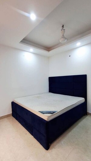 1 BHK Apartment For Rent in Freedom Fighters Enclave