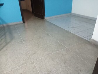 2 BHK Apartment For Rent in The Shri Ganesh CGHS in Sector 56, Gurgaon