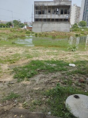 Plot Area in 6+ BHK Independent House at BPTP Parkland, Sector 75 – for Sale