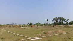 Plot For Sale in Painal