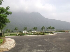 Plot Area in  Plot at Mullipadi – for Sale
