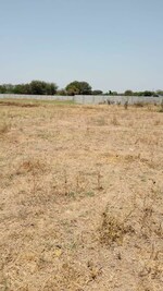 700 Sq.Yd. Plot in Science City