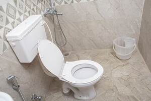 Bathroom in 1 RK Independent House at Sector 14 – for Rent