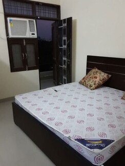 1 Rk+ Prayer Room,Servant Room,Study Room,Extra Room,Basement,Store Room Independent House For Rent in Sector 14