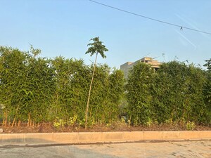 Plot Area in  Plot at Aerocity – for Sale