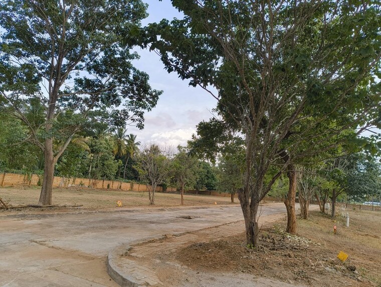 undefined, madduru  3200 Sq.Ft. Plot In Madduru Mandya 10577649