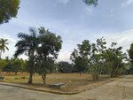 3200 Sq.Ft. Plot in Madduru