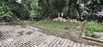 100 Sq.Yd. Plot in Sinaula